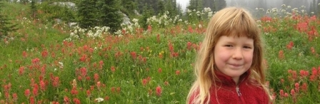 young woman in wild flower field young woman in wild flower field