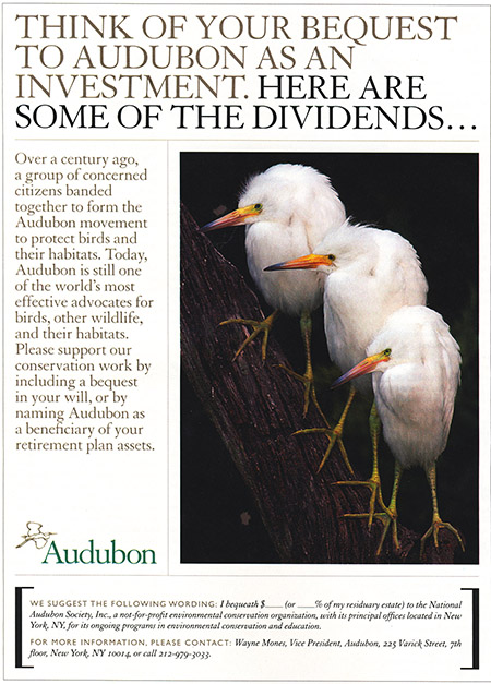 Example of a full-page Bequest print ad from Audubon