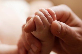 image of baby and adult hands intertwined image of baby and adult hands intertwined