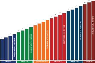 colourful chart columns showing growth