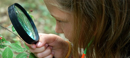 girl looks through magnifying glass