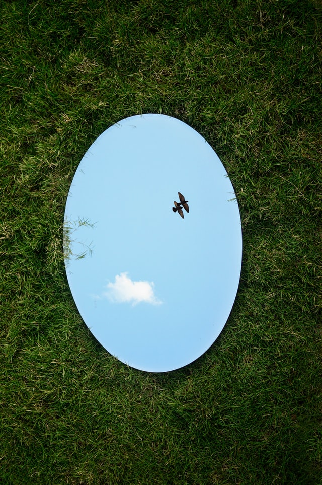 Picture of a mirror lying in the grass
