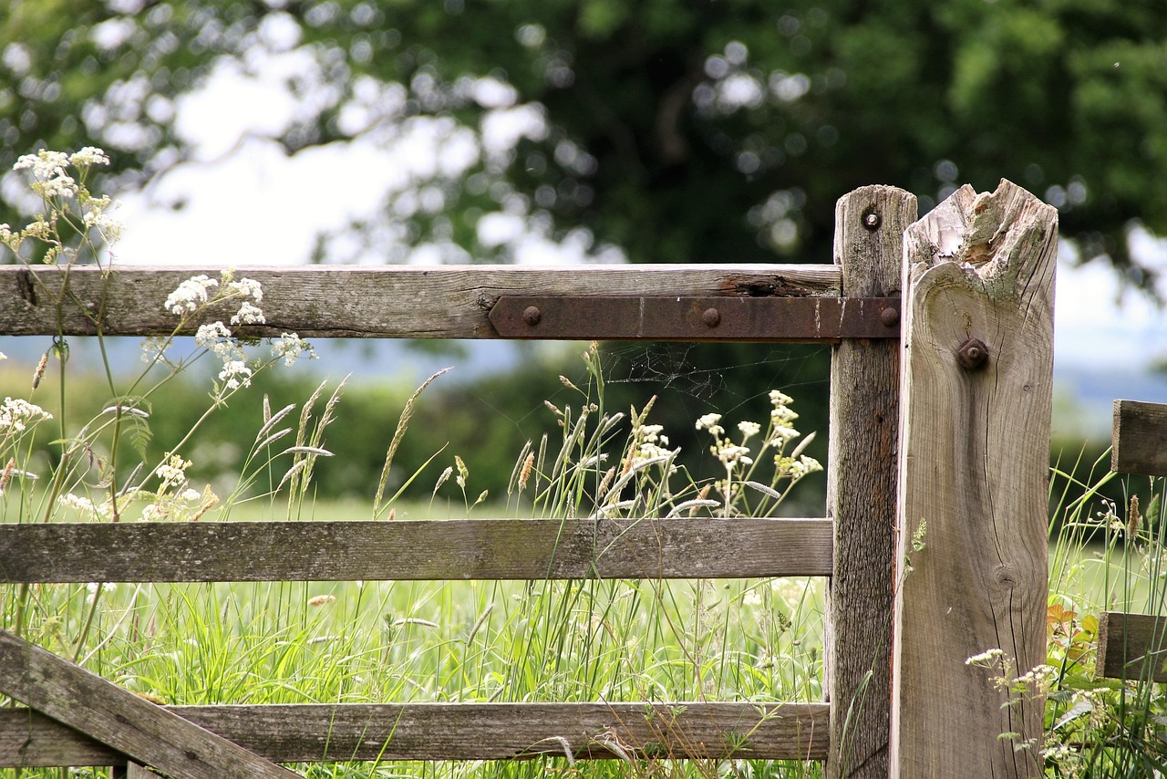 A closed farmhouse gate with green grass in view