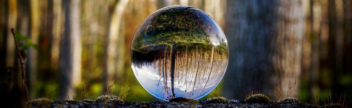 A glass sphere reflecting the forest backdrop