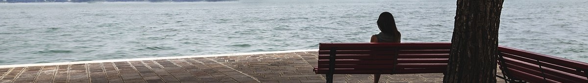 A person sits on a bench by the water and looks out at the water