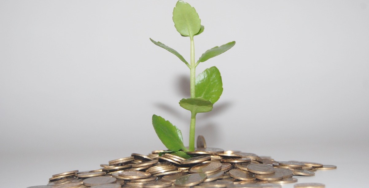 A plant appears to grow out of a pile of coins