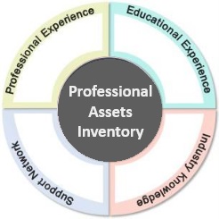 visual representation of professional assets inventory