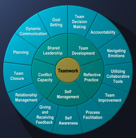 teamwork skills and competencies outlined in a circle