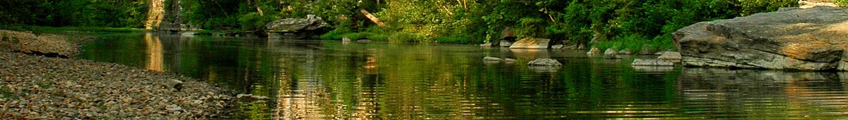 A calm river with rocky banks situated in a lush Pacific northwest forest