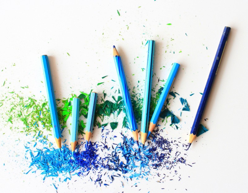 Various blue pencil crayons on a table with many fresh pencil shavings
