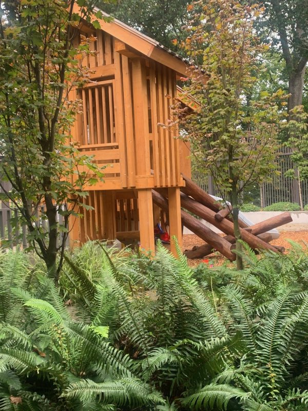 An outdoor wooden playhouse in a forested area