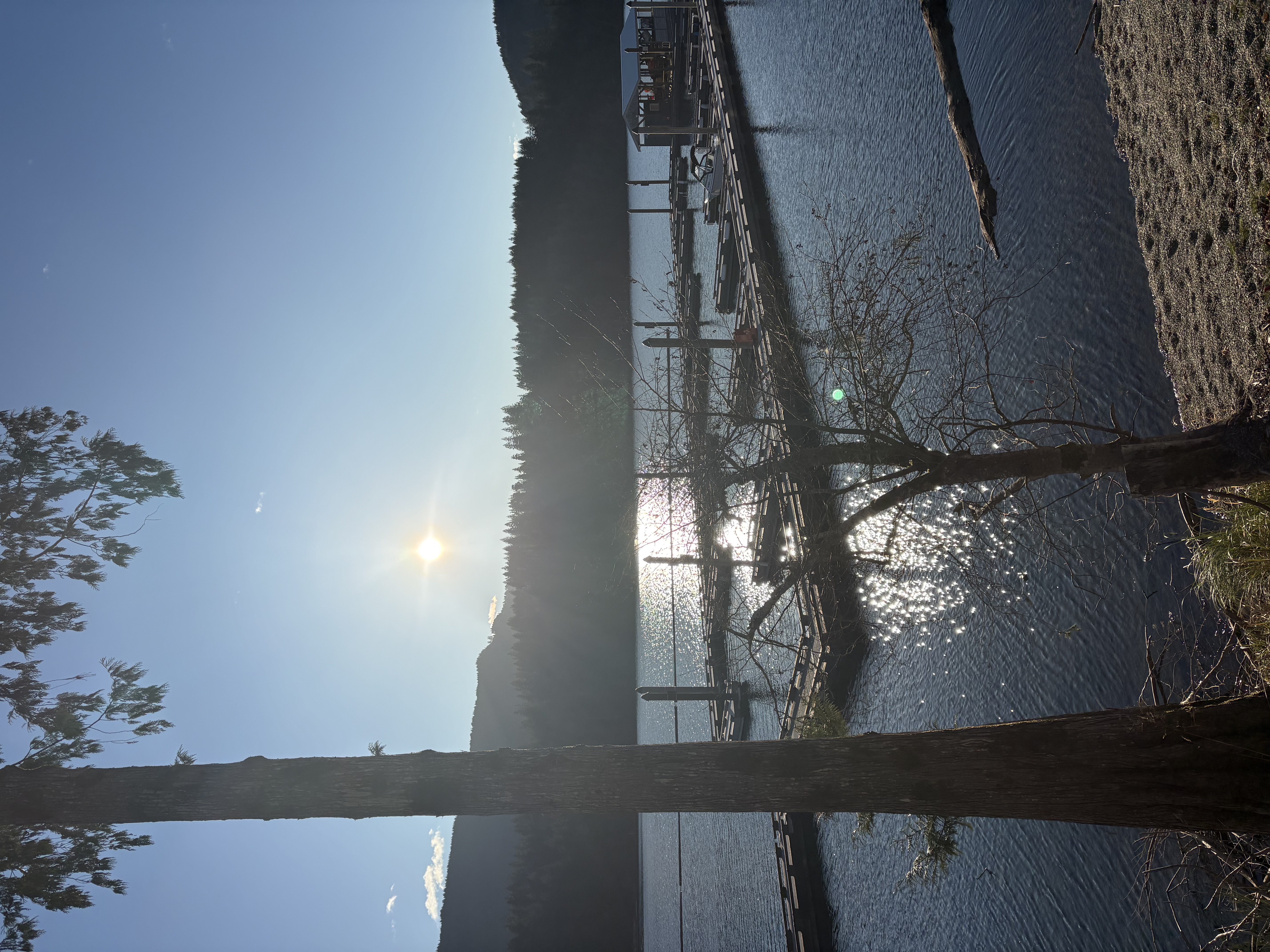 A pier in the ocean of the Pacific Northwest