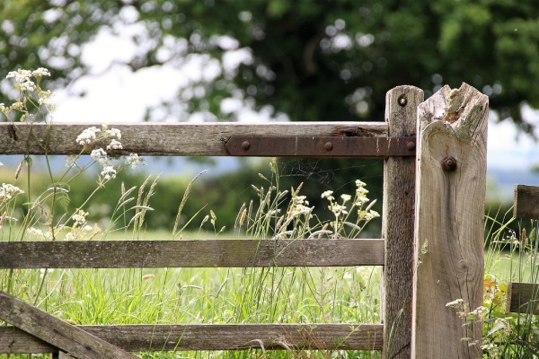 A closed farmgate with green fields in view